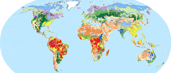 Map of the worlds soil orders. Paul Reich/USDA NRCS
