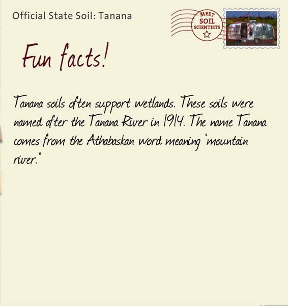 Official State Soil: Tanana 
July 10th 


Tanana soils often support wetlands. These soils were named after the Tanana River in 1914. The name Tanana comes from the Athabaskan word meaning "mountain river."
