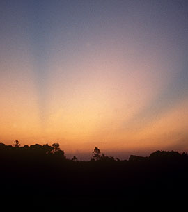 Crepuscular Rays