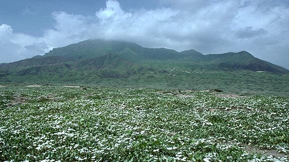 Image of Cerro Cabezón during an El Niño event