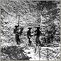Workers in the 1860s excavate a “mountain” of guano