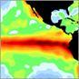 Surface temperatures of the Pacific Ocean during an El Niño and La Niña event