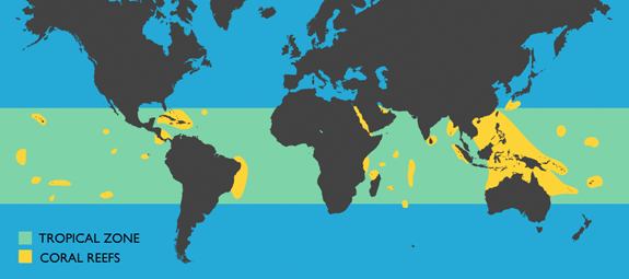 World locations of coral reefs. Information courtesy of Mitsuaki Takata