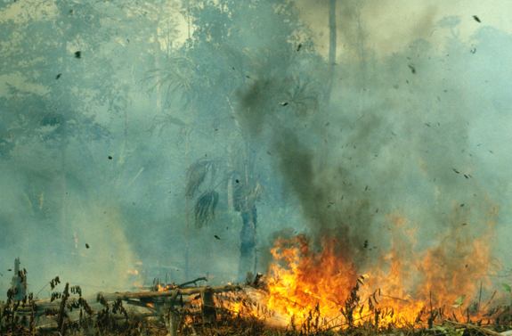 Fires rage in Indonesia before the 1997 El Niño