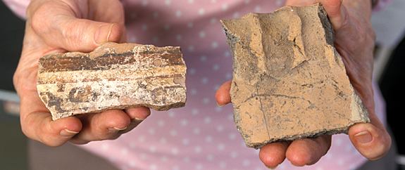 Pottery excavated from sites in the Amazon Basin