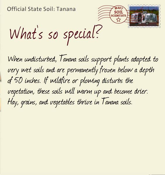 Official State Soil: Tanana 
July 10th 


When undisturbed, Tanana soils support plants adapted to very wet soils and are permanently frozen below a depth of 50 inches. If wildfire or plowing disturbs the vegetation, these soils will warm up and become drier. Hay, grains, and vegetables thrive in Tanana soils.
