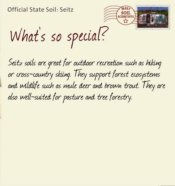 Official State Soil: Seitz 
August 1st 


Seitz soils are great for outdoor recreation such as hiking or cross-country skiing. They support forest ecosystems and wildlife such as mule deer and brown trout. They are also well-suited for pasture and tree forestry. 
