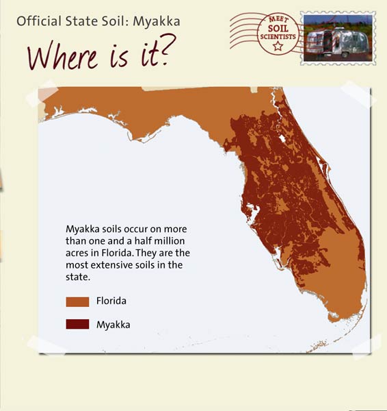 Official State Soil: Myakka 
December 9th 

This is a map of Florida showing the location of Myakka soils. Myakka soils occur on more than one and a half million acres in Florida. They are the most extensive soils in the state.