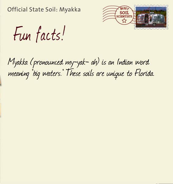 Official State Soil: Myakka 
December 9th 


Myakka (pronounced my-yak- ah) is an Indian word meaning "big waters." These soils are unique to Florida.
