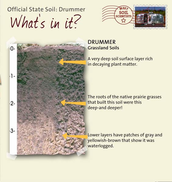 Official State Soil: Drummer 
June 20th 

This is a photo of the layers that make up a Drummer soil profile. Drummer: Grassland Soils. Layer 1: A very deep soil surface layer rich in decaying plant matter. Layer 2: The roots of the native prairie grasses that built this soil were this deep — and deeper! Layer 3: Lower layers have patches of gray and yellowish-brown that show it was waterlogged.