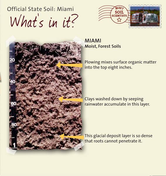 Official State Soil: Miami 
March 26th 

This is a photo of the layers that make up a Miami soil profile. Miami: Moist, Forest Soils. Layer 1: Plowing mixes surface organic matter into the top eight inches. Layer 2: Clays washed down by seeping rainwater accumulate in this layer. Layer 3: This glacial deposit layer is so dense that roots cannot penetrate it.