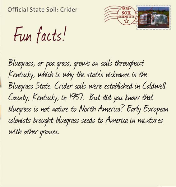 Official State Soil: Crider 
May 1st 


Bluegrass, or poa grass, grows on soils throughout Kentucky, which is why the state's nickname is the Bluegrass State. Crider soils were established in Caldwell County, Kentucky, in 1957.  But did you know that bluegrass is not native to North America? Early European colonists brought bluegrass seeds to America in mixtures with other grasses.
