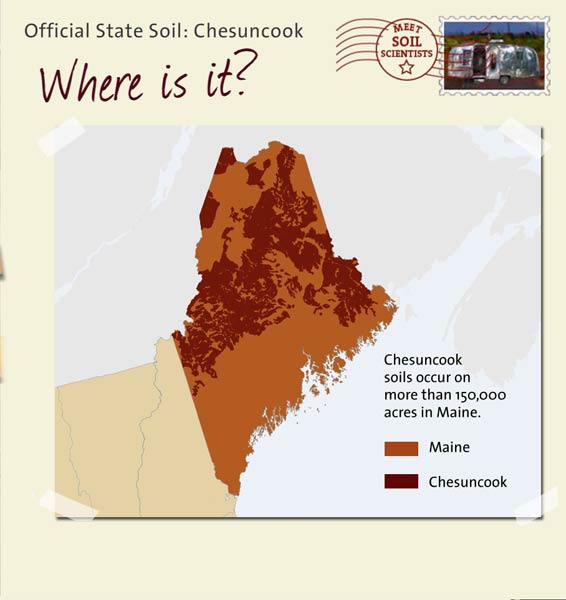 Official State Soil: Chesuncook 
June 15th 

This is a map of Maine showing the location of Chesuncook soils. Chesuncook soils occur on more than 150,000 acres in Maine.