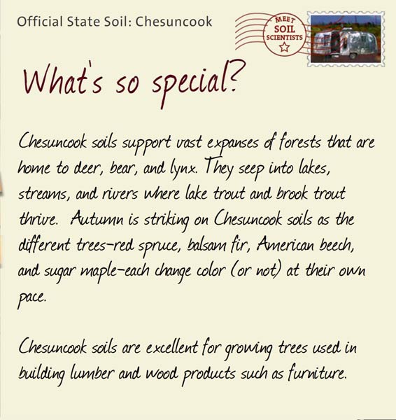 Official State Soil: Chesuncook 
June 15th 


Chesuncook soils support vast expanses of forests that are home to deer, bear, and lynx. They seep into lakes, streams, and rivers where lake trout and brook trout thrive.  Autumn is striking on Chesuncook soils as the different trees-red spruce, balsam fir, American beech, and sugar maple-each change color (or not) at their own pace. 

Chesuncook soils are excellent for growing trees used in building lumber and wood products such as furniture.
