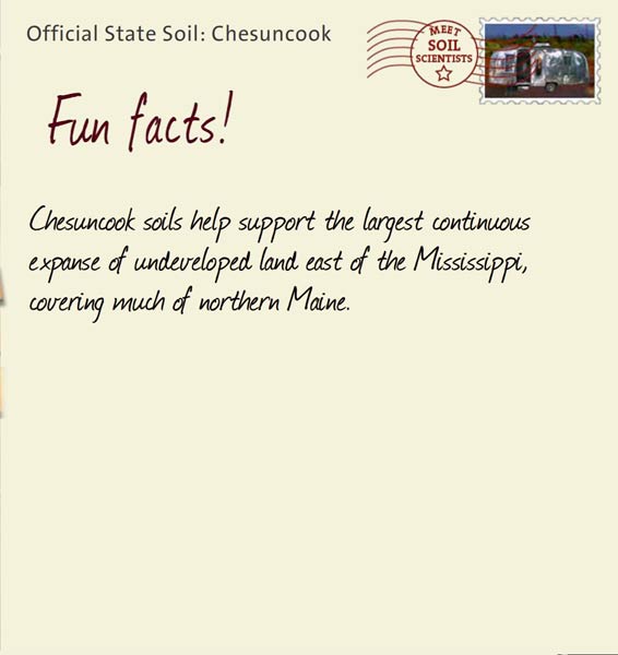 Official State Soil: Chesuncook 
June 15th 


Chesuncook soils help support the largest continuous expanse of undeveloped land east of the Mississippi, covering much of northern Maine. 
