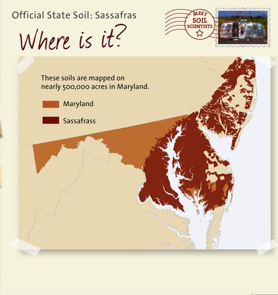 Official State Soil: Sassafras 
August 12th 

This is a map of Maryland showing the location of Sassafras soils. These soils are mapped on nearly 500,000 acres in Maryland.
