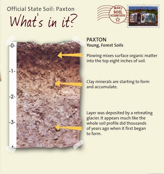 Official State Soil: Paxton 
October 28th 

This is a photo of the layers that make up a Paxton soil profile. Paxton: Young, Forest Soils. Layer 1: Plowing mixes surface organic matter into the top eight inches of soil. Layer 2: Clay minerals are starting to form and accumulate. Layer 3: Layer was deposited by a retreating glacier. It appears much like the whole soil profile did thousands of years ago when it first began to form.