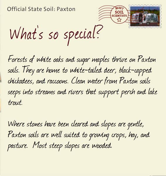 Official State Soil: Paxton 
October 28th 


Forests of white oaks and sugar maples thrive on Paxton soils. They are home to white-tailed deer, black-capped chickadees, and raccoons. Clean water from Paxton soils seeps into streams and rivers that support perch and lake trout.

Where stones have been cleared and slopes are gentle, Paxton soils are well suited to growing crops, hay, and pasture.  Most steep slopes are wooded.
