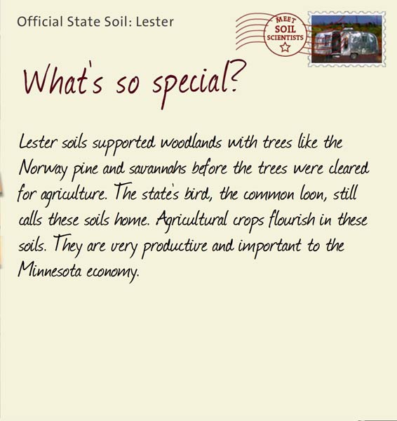 Official State Soil: Lester 
June 1st 


Lester soils supported woodlands with trees like the Norway pine and savannahs before the trees were cleared for agriculture. The state's bird, the common loon, still calls these soils home. Agricultural crops flourish in these soils. They are very productive and important to the Minnesota economy.
