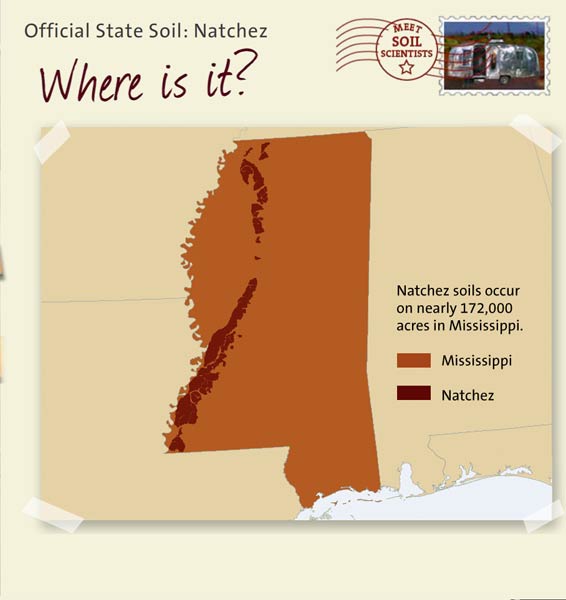 Official State Soil: Natchez 
June 19th 

This is a map of Mississippi showing the location of Natchez soils. Natchez soils occur on nearly 172,000 acres in Mississippi.