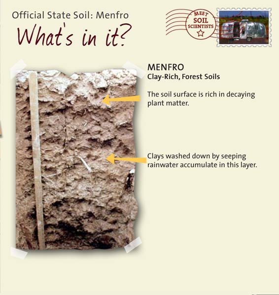 Official State Soil: Menfro 
September 10th 

This is a photo of the layers that make up a Menfro soil profile. Menfro: Clay-Rich, Forest Soils. Layer 1: The soil surface is rich in decaying plant matter. Layer 2: Clays washed down by seeping rainwater accumulate in this layer.