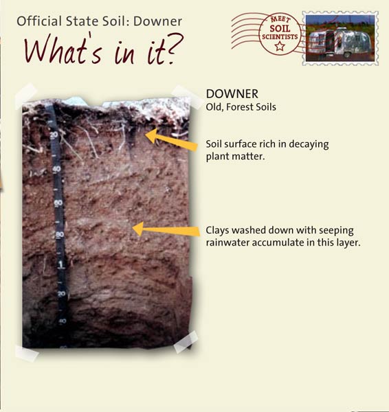Official State Soil: Downer 
June 27th 

This is a photo of the layers that make up a Downer soil profile. Downer: Old, Forest Soils. Layer 1: Soil surface rich in decaying plant matter. Layer 2: Clays washed down with seeping rainwater accumulate in this layer.