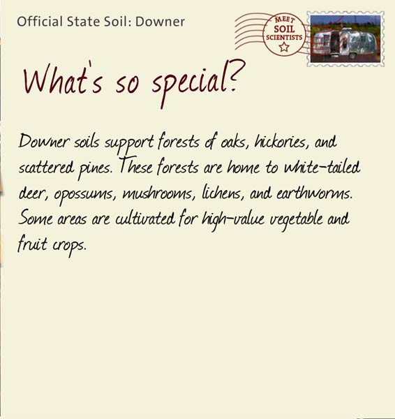 Official State Soil: Downer 
June 27th 


Downer soils support forests of oaks, hickories, and scattered pines. These forests are home to white-tailed deer, opossums, mushrooms, lichens, and earthworms. Some areas are cultivated for high-value vegetable and fruit crops. 
