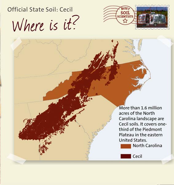Official State Soil: Cecil 
March 26th 

This is a map of North Carolina showing the location of Cecil soils. More than 1.6 million acres of the North Carolina landscape are Cecil soils. It covers one-third of the Piedmont Plateau in the eastern United States.