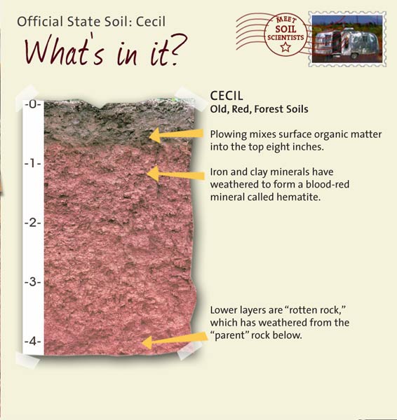 Official State Soil: Cecil 
March 26th 

This is a photo of the layers that make up a Cecil soil profile. Cecil: Old, Red, Forest Soils. Layer 1: Plowing mixes surface organic matter into the top eight inches. Layer 2: Iron and clay minerals have weathered to form a blood-red mineral called hematite. Layer 3: Lower layers are "rotten rock," which has weathered from the "parent" rock below.