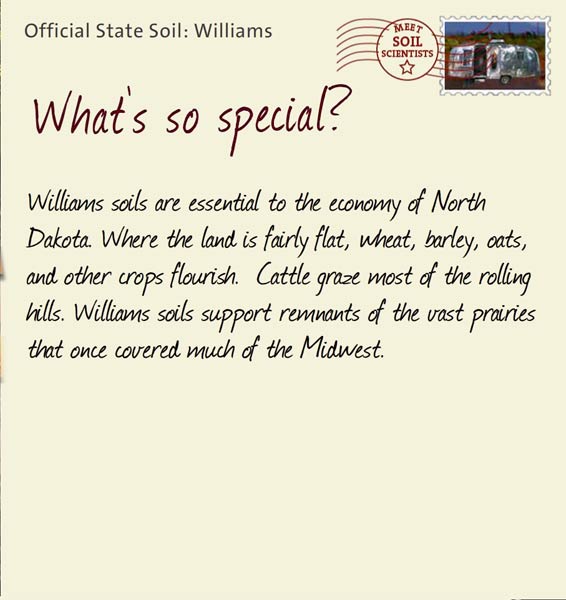 Official State Soil: Williams 
April 26th 


Williams soils are essential to the economy of North Dakota. Where the land is fairly flat, wheat, barley, oats, and other crops flourish.  Cattle graze most of the rolling hills. Williams soils support remnants of the vast prairies that once covered much of the Midwest.
