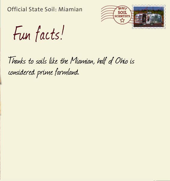 Official State Soil: Miamian 
September 13th 


Thanks to soils like the Miamian, half of Ohio is considered prime farmland.
