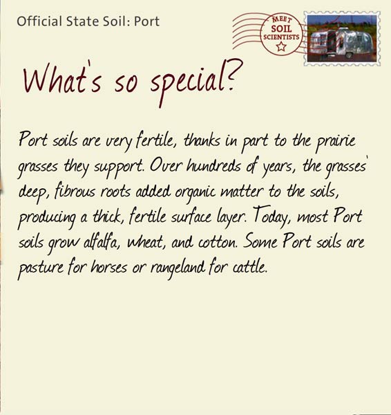 Official State Soil: Port 
February 28th 


Port soils are very fertile, thanks in part to the prairie grasses they support. Over hundreds of years, the grasses' deep, fibrous roots added organic matter to the soils, producing a thick, fertile surface layer. Today, most Port soils grow alfalfa, wheat, and cotton. Some Port soils are pasture for horses or rangeland for cattle.
