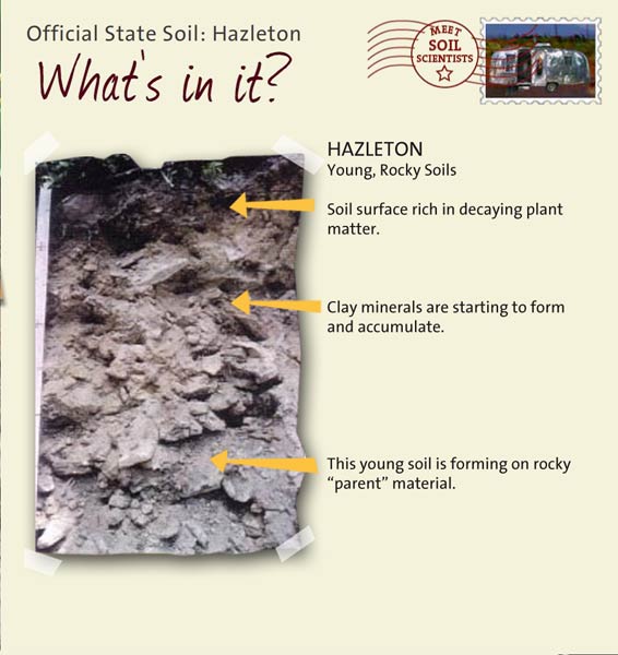 Official State Soil: Hazleton 
July 28th 

This is a photo of the layers that make up a Hazleton soil profile. Hazleton: Young, Rocky Soils. Layer 1: Soil surface rich in decaying plant matter. Layer 2: Clay minerals are starting to form and accumulate. Layer 3: This young soil is forming on rocky "parent" material.