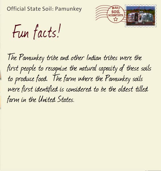 Official State Soil: Pamunkey 
June 16th 


The Pamunkey tribe and other Indian tribes were the first people to recognize the natural capacity of these soils to produce food.  The farm where the Pamunkey soils were first identified is considered to be the oldest tilled farm in the United States.  
