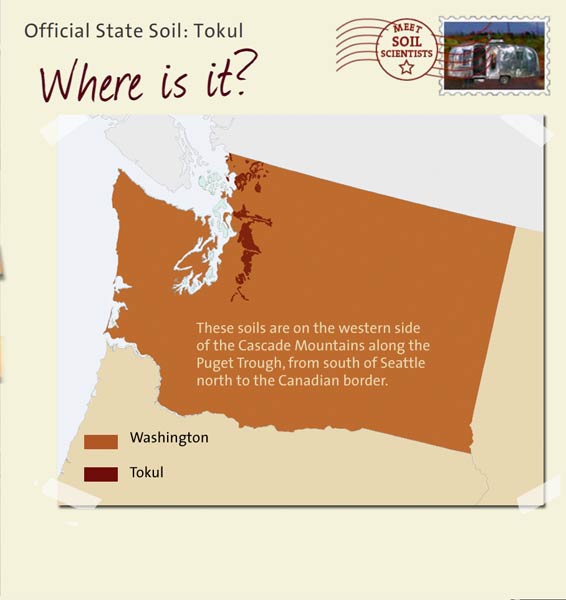 Official State Soil: Tokul 
July 18th 

This is a map of Washington showing the location of Tokul soils. These soils are on the western side of the Cascade Mountains along the Puget Trough, from south of Seattle north to the Canadian border.