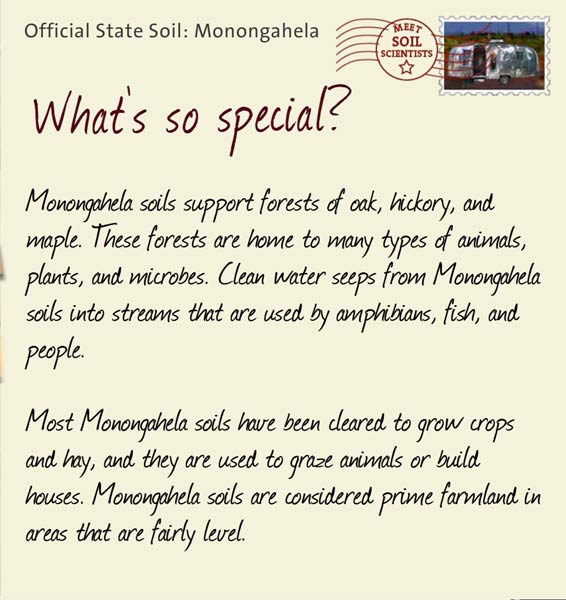 Official State Soil: Monongahela 
May 3rd 


Monongahela soils support forests of oak, hickory, and maple. These forests are home to many types of animals, plants, and microbes. Clean water seeps from Monongahela soils into streams that are used by amphibians, fish, and people.
 
Most Monongahela soils have been cleared to grow crops and hay, and they are used to graze animals or build houses. Monongahela soils are considered prime farmland in areas that are fairly level.
