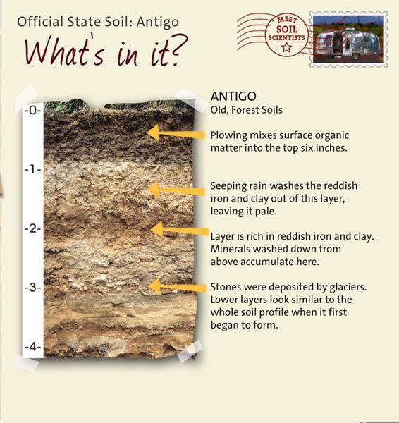 Official State Soil: Antigo 
February 29th 

This is a photo of the layers that make up an Antigo soil profile. Antigo: Old, Forest Soils. Layer 1: Plowing mixes surface organic matter into the top six inches. Layer 2: Seeping rain washes the reddish iron and clay out of this layer, leaving it pale. Layer 3: Layer is rich in reddish iron and clay. Minerals washed down from above accumulate there. Layer 4: Stones were deposited by glaciers. Lower layers look similar to the whole soil profile when it first began to form.