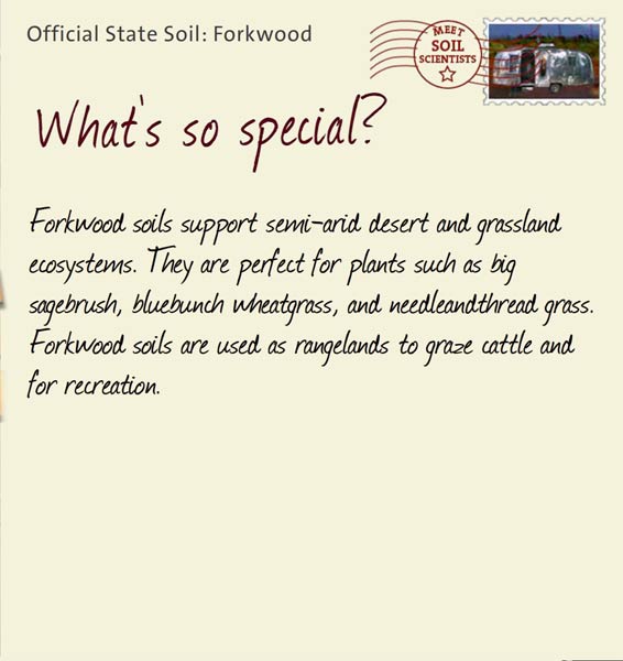Official State Soil: Forkwood 
September 14th 


Forkwood soils support semi-arid desert and grassland ecosystems. They are perfect for plants such as big sagebrush, bluebunch wheatgrass, and needleandthread grass. Forkwood soils are used as rangelands to graze cattle and for recreation. 
