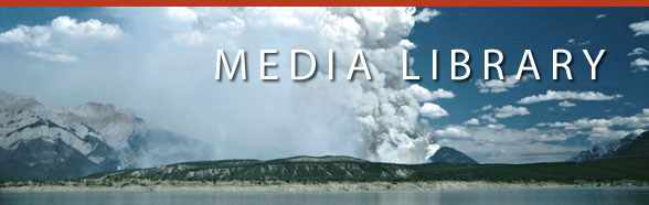 Media Library