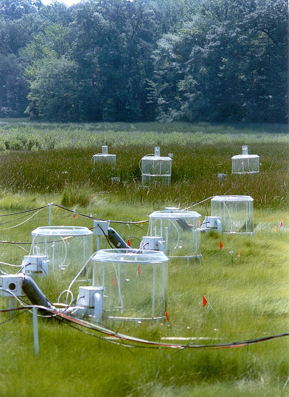 CO2 chambers at SERC