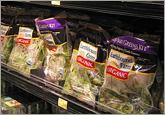 Romaine Lettuce