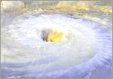 Hurricanes
