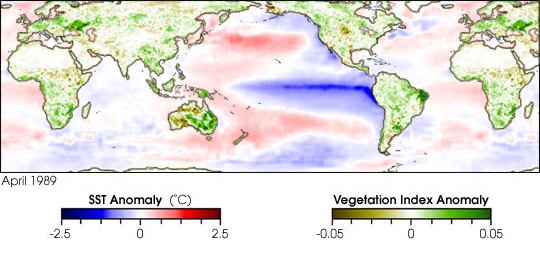 Sea surface temperature conditions during a La Niña event