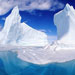 Iceberg