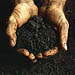 What is Soil?