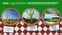 Soil Ingredients