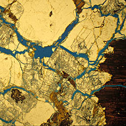 Soil
