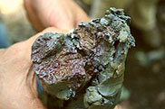 Clayey soil texture