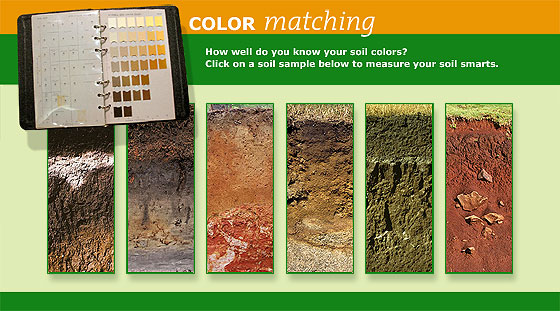 Color Matching