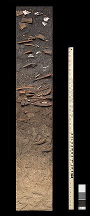 Terra preta soil profile